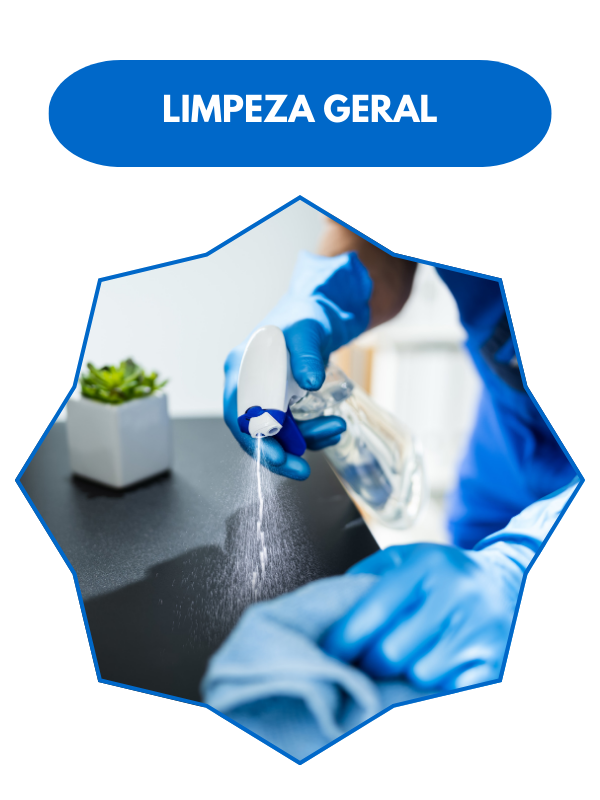 Limpeza Profissional